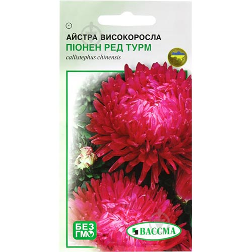 Астра Пионен Ред Турм Seedera артикул фото 1 Астра Пионен Ред Турм Seedera рисунок 1 артикул 66238