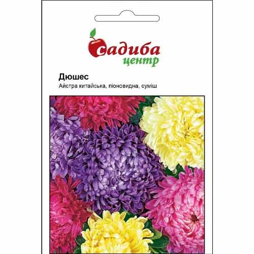 Айстра Дюшес, суміш забарвлень Садиба центр артикул фото 1 Айстра Дюшес, суміш забарвлень Садиба центр зображення 1 артикул 72034