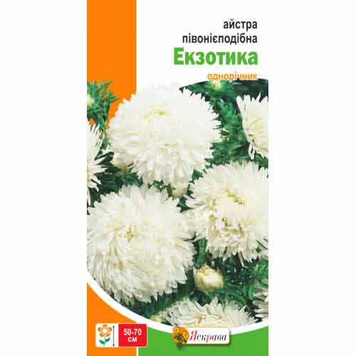 Айстра півонієподібна Екзотика біла Яскрава зображення 1 артикул 72025