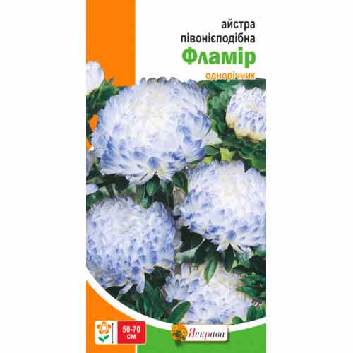 Айстра півонієподібна Фламір біло-блакитна Яскрава зображення 1 артикул 72031