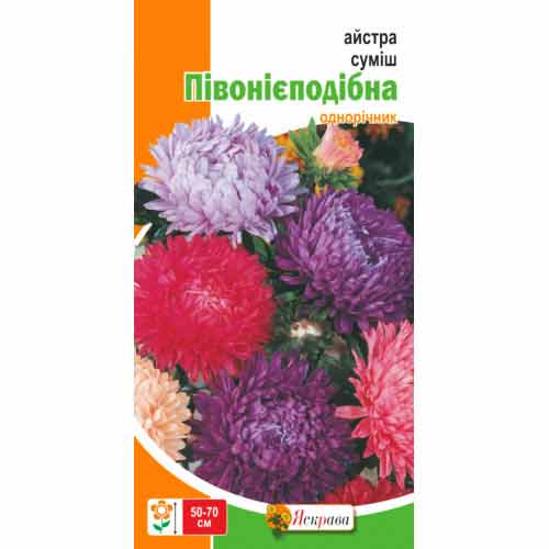 Айстра півонієподібна, суміш забарвлень Яскрава зображення 1 артикул 72033