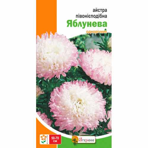 Айстра півонієподібна Яблунева біло-рожева Яскрава зображення 1 артикул 72032