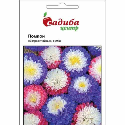 Астра Помпон, смесь окрасок Садыба центр рисунок 1 артикул 89041