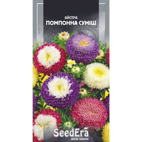 Айстра Помпонна, суміш забарвлень Seedera артикул фото 1 Айстра Помпонна, суміш забарвлень Seedera зображення 1 артикул 66250