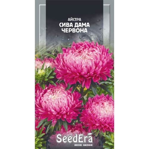 Астра Седая дама красная Seedera рисунок 1 артикул 72707
