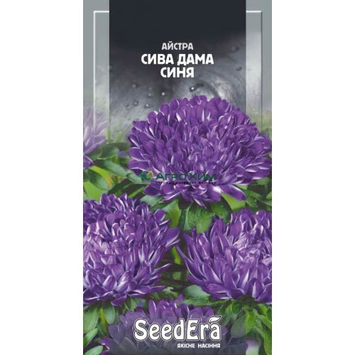 Айстра Сива Дама синя Seedera артикул фото 1 Айстра Сива Дама синя Seedera зображення 1 артикул 66246