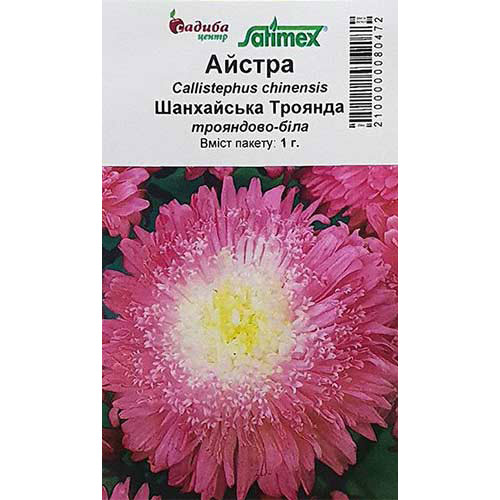 Астра Шанхайская Роза розово-белая Садыба центр рисунок 1 артикул 89063