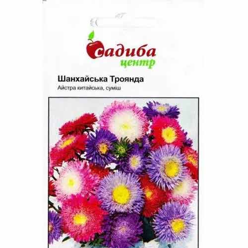 Астра Шанхайская роза, смесь окрасок Садыба центр артикул фото 1 Астра Шанхайская роза, смесь окрасок Садыба центр рисунок 1 артикул 72887