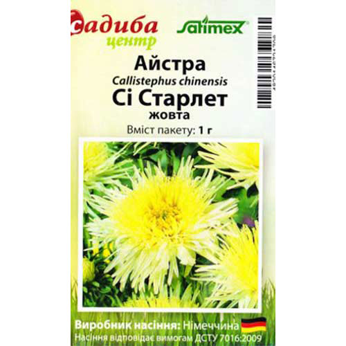 Астра Си Старлет желтая Садыба центр рисунок 1 артикул 89047