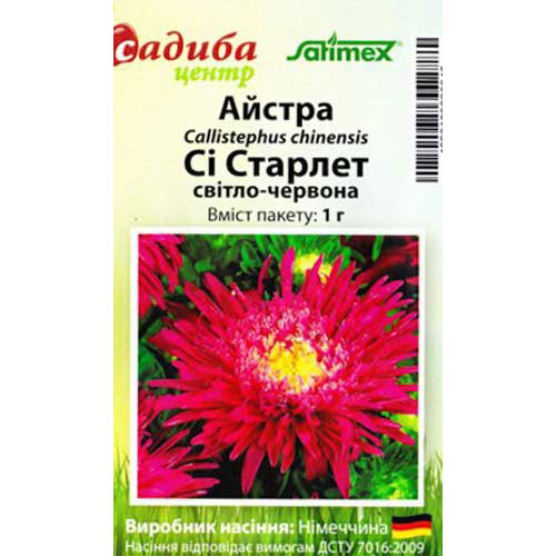 Айстра Сі Старлет червона Садиба центр артикул фото 1 Айстра Сі Старлет червона Садиба центр зображення 1 артикул 89051