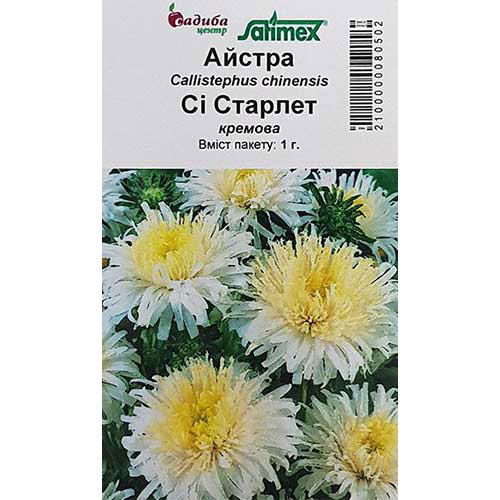 Айстра Сі Старлет кремова Садиба центр зображення 1 артикул 89048