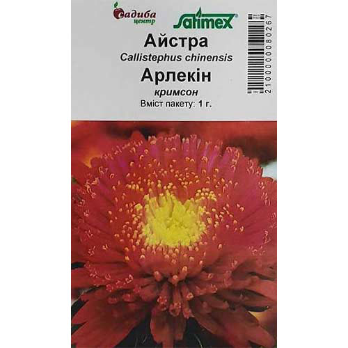 Астра Си Старлет Кримсон Садыба центр рисунок 1 артикул 89049