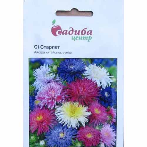 Астра Си Старлет, смесь окрасок Садыба центр рисунок 1 артикул 89052