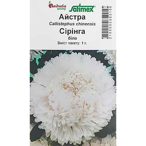 Айстра Сірінга біла Садиба центр зображення 1 артикул 89053