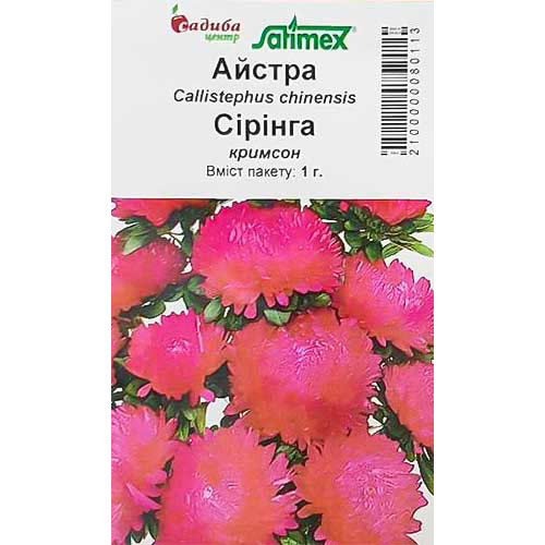 Астра Сиринга Кримсон Садыба центр рисунок 1 артикул 89055