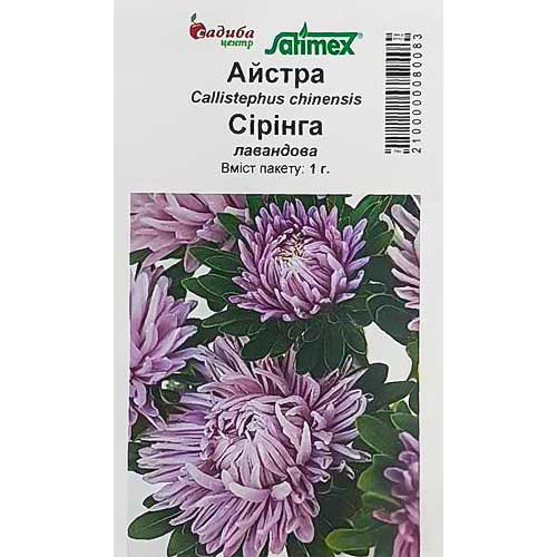 Астра Сиринга лавандовая Садыба центр рисунок 1 артикул 89056