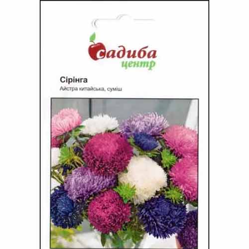 Айстра Сірінга, суміш забарвлень Садиба центр зображення 1 артикул 89058