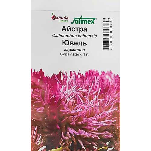Астра Ювель карминовая Садыба центр рисунок 1 артикул 89065