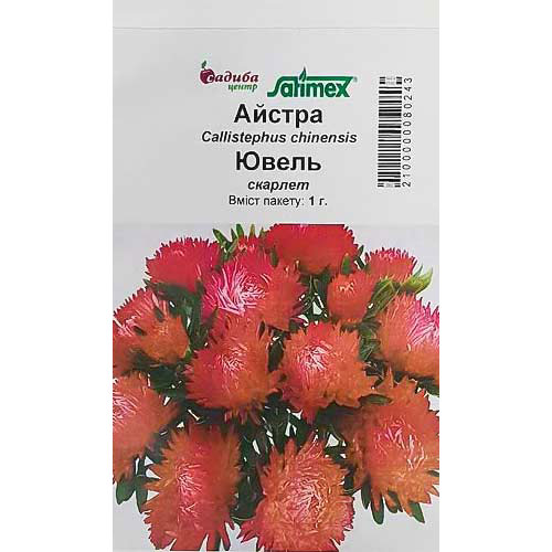 Астра Ювель Скарлет Садыба центр рисунок 1 артикул 89067
