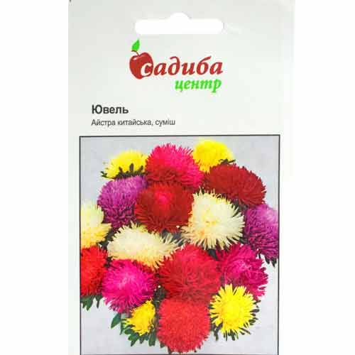 Астра Ювель, смесь окрасок Садыба центр рисунок 1 артикул 89069