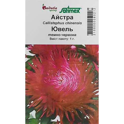 Астра Ювель темно-красная Садыба центр рисунок 1 артикул 89068