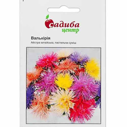 Айстра Валькірія пастельна, суміш забарвлень Садиба центр зображення 1 артикул 89020