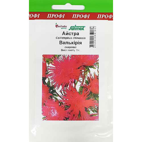 Астра Валькирия Скарлет Садыба центр артикул фото 1 Астра Валькирия Скарлет Садыба центр рисунок 1 артикул 89023