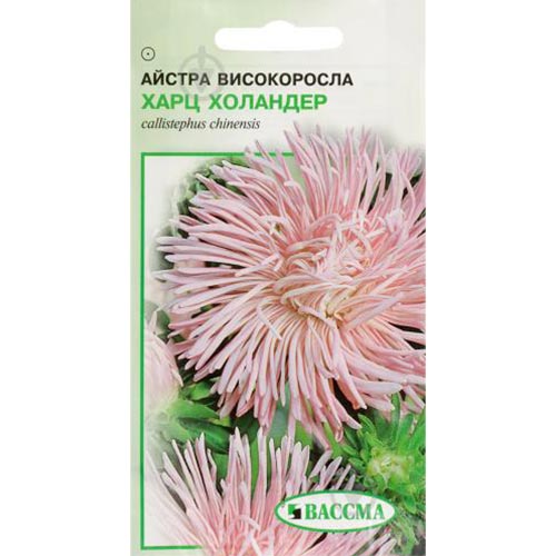 Айстра Харц Холандер Seedera зображення 1 артикул 72936