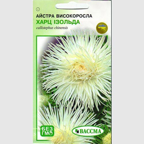 Астра Харц Изольда Seedera рисунок 1 артикул 66375