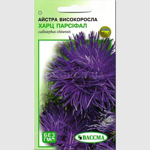 Астра Харц Парсифаль Seedera рисунок 1 артикул 72932