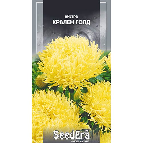 Астра Крален Люкс Seedera рисунок 1 артикул 66363