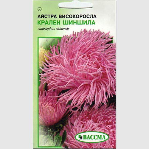 Астра Крален Шиншилла Seedera рисунок 1 артикул 66364