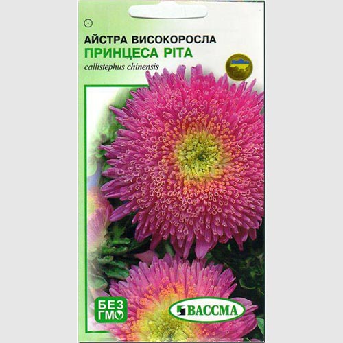 Астра Принцесса Рита Seedera рисунок 1 артикул 72928