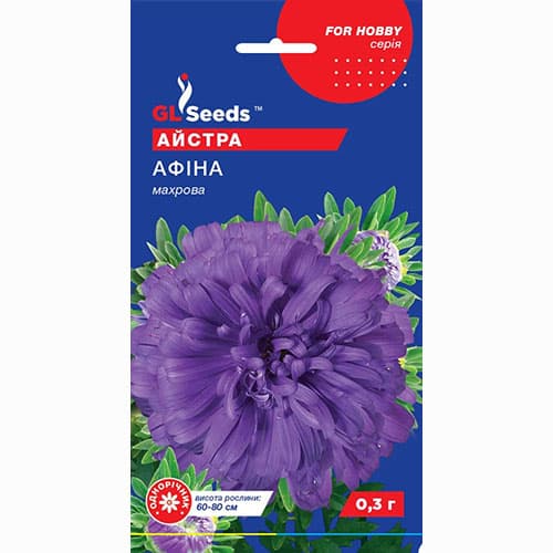 Астра Афина GL Seeds рисунок 1 артикул 99372