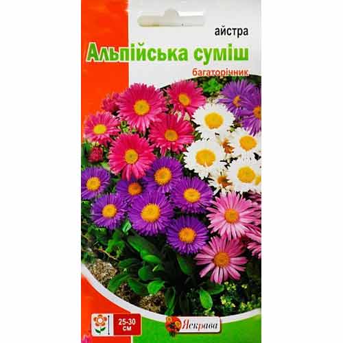 Астра Альпийская, смесь окрасок Яскрава рисунок 1 артикул 99761