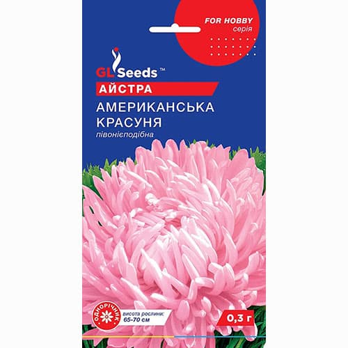 Астра Американская красавица GL Seeds рисунок 1 артикул 99368