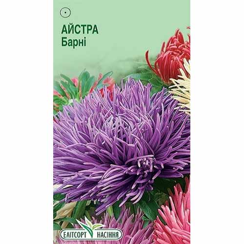 Астра Барни Элитсорт артикул фото 1 Астра Барни Элитсорт рисунок 1 артикул 85897