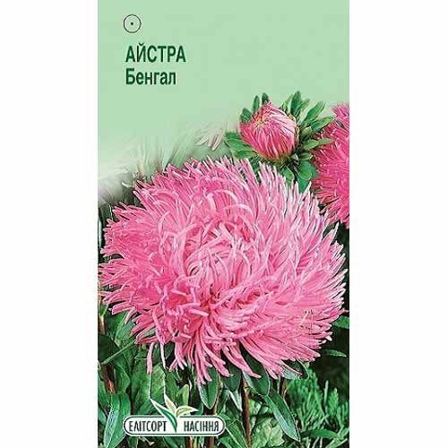 Айстра Бенгал Елітсорт зображення 1 артикул 85898