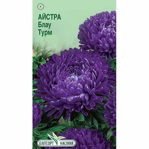 Астра Блау Турм Элитсорт рисунок 1 артикул 85899