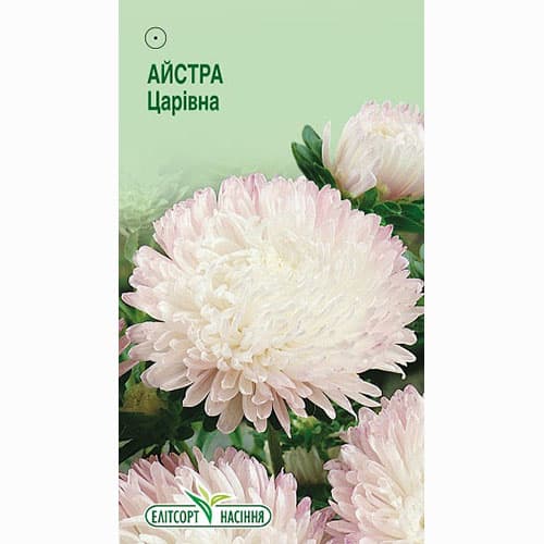 Астра Царевна Элитсорт рисунок 1 артикул 95088