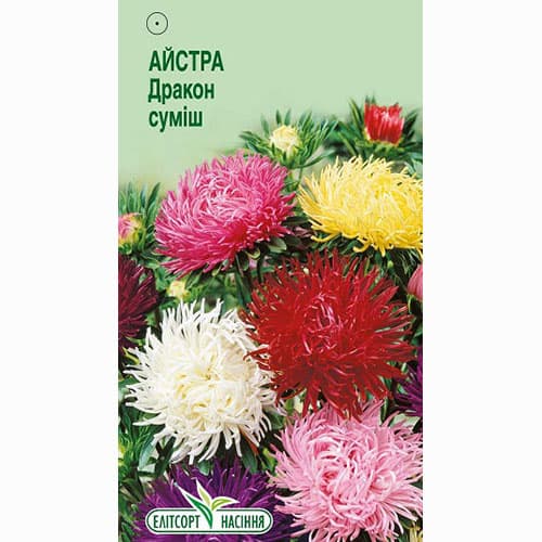 Астра Дракон, смесь окрасок Элитсорт рисунок 1 артикул 95077