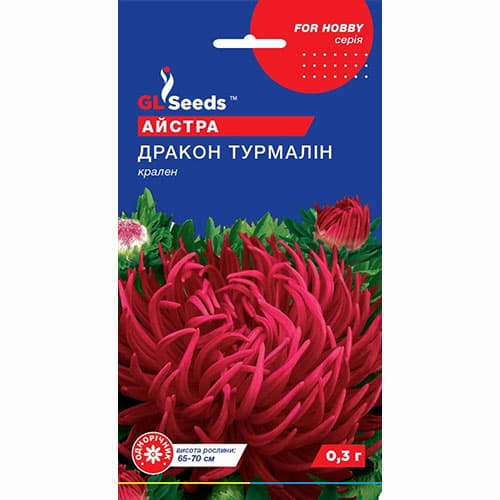 Астра Дракон Турмалин GL Seeds рисунок 1 артикул 99377