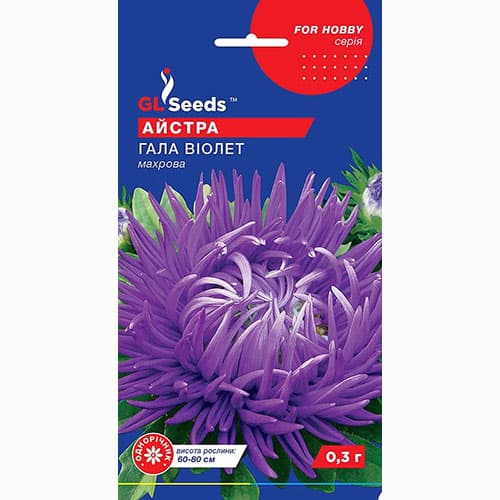 Айстра Гала Віолет GL Seeds зображення 1 артикул 99373