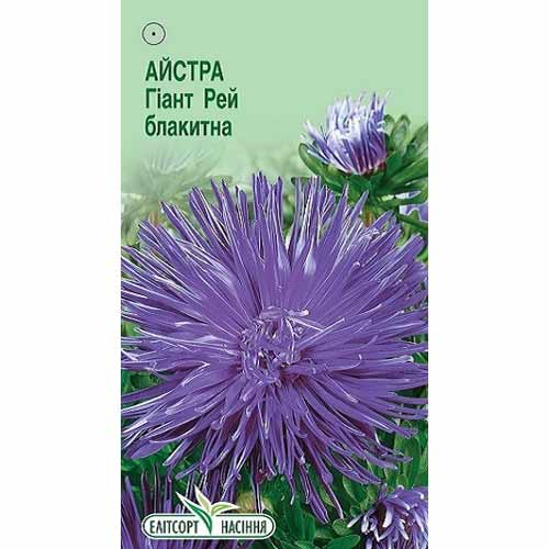 Айстра Гіант Рей блакитна Елітсорт зображення 1 артикул 85902