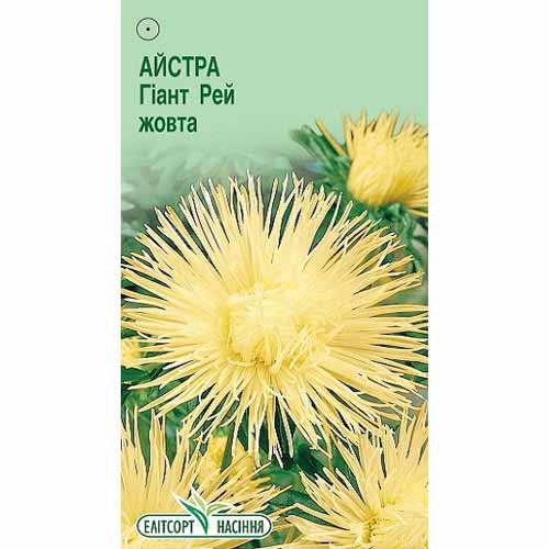 Астра Гиант Рэй желтая Элитсорт рисунок 1 артикул 85903