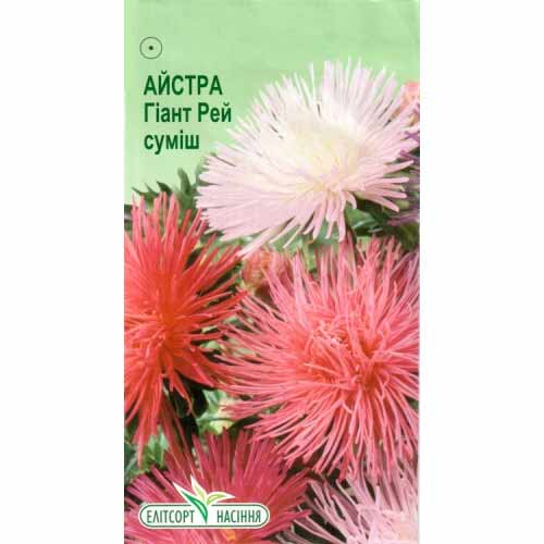 Астра Гиант Рэй, смесь окрасок Элитсорт рисунок 1 артикул 85904