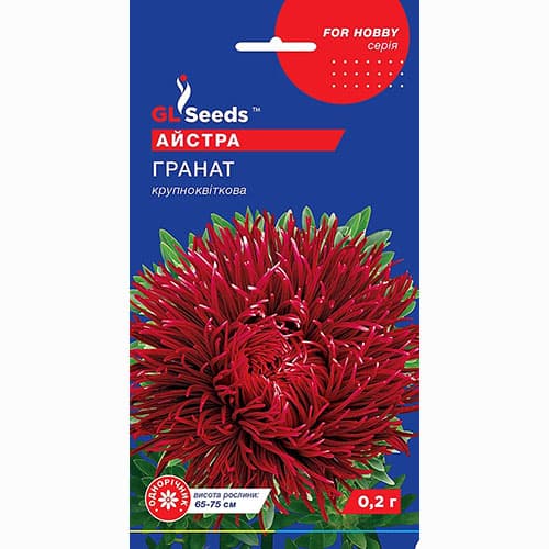 Айстра Гранат GL Seeds зображення 1 артикул 99375