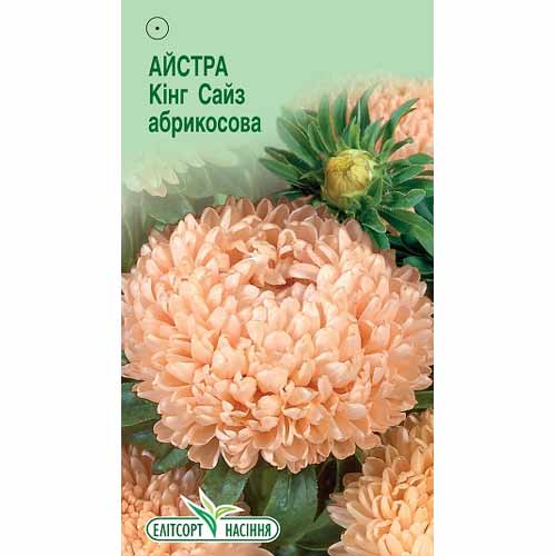 Астра Кинг Сайз абрикосовая Элитсорт рисунок 1 артикул 85906