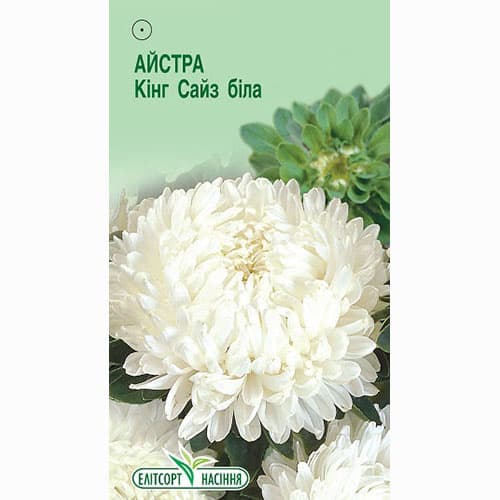 Астра Кинг Сайз белая Элитсорт рисунок 1 артикул 95080