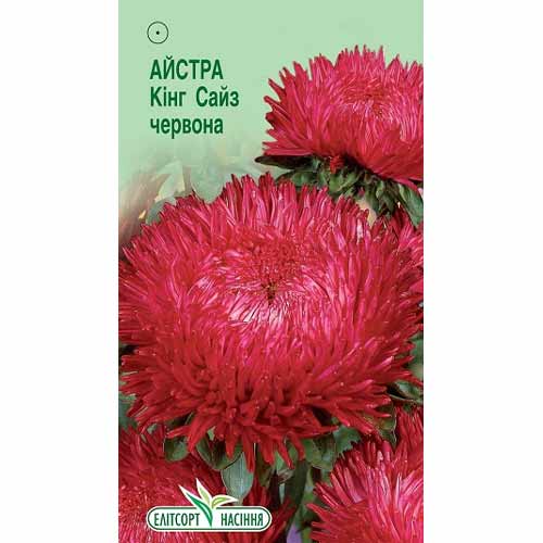 Айстра Кінг Сайз червона Елітсорт зображення 1 артикул 85907